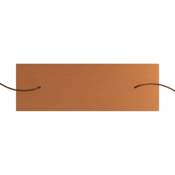 2 hole - EXTRA LARGE Rectangular Ceiling Canopy Kit - Rose One System, 675 x 225 mm Cover