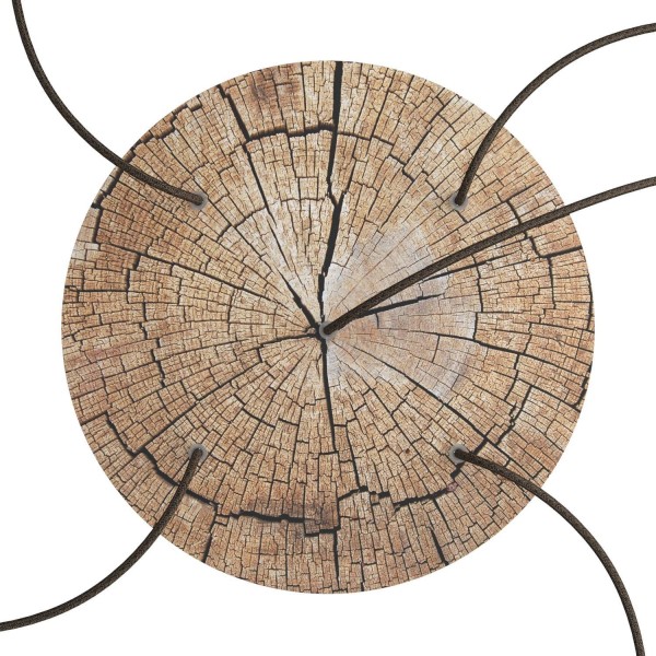 5 Holes - EXTRA LARGE Round Ceiling Canopy Kit - Rose One System - PROMO