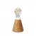 Portable and rechargeable Cabless11 lamp with Drop light bulb suitable with lampshade