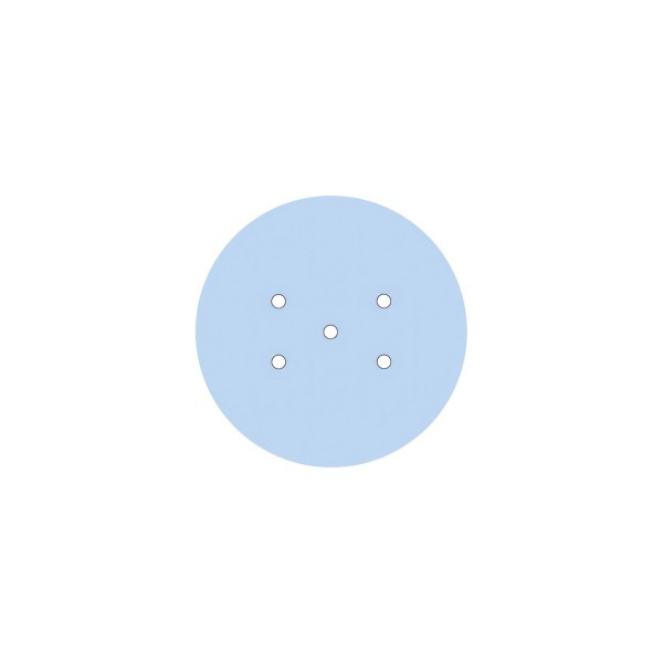5 Holes - LARGE Round Ceiling Canopy Kit - Rose One System