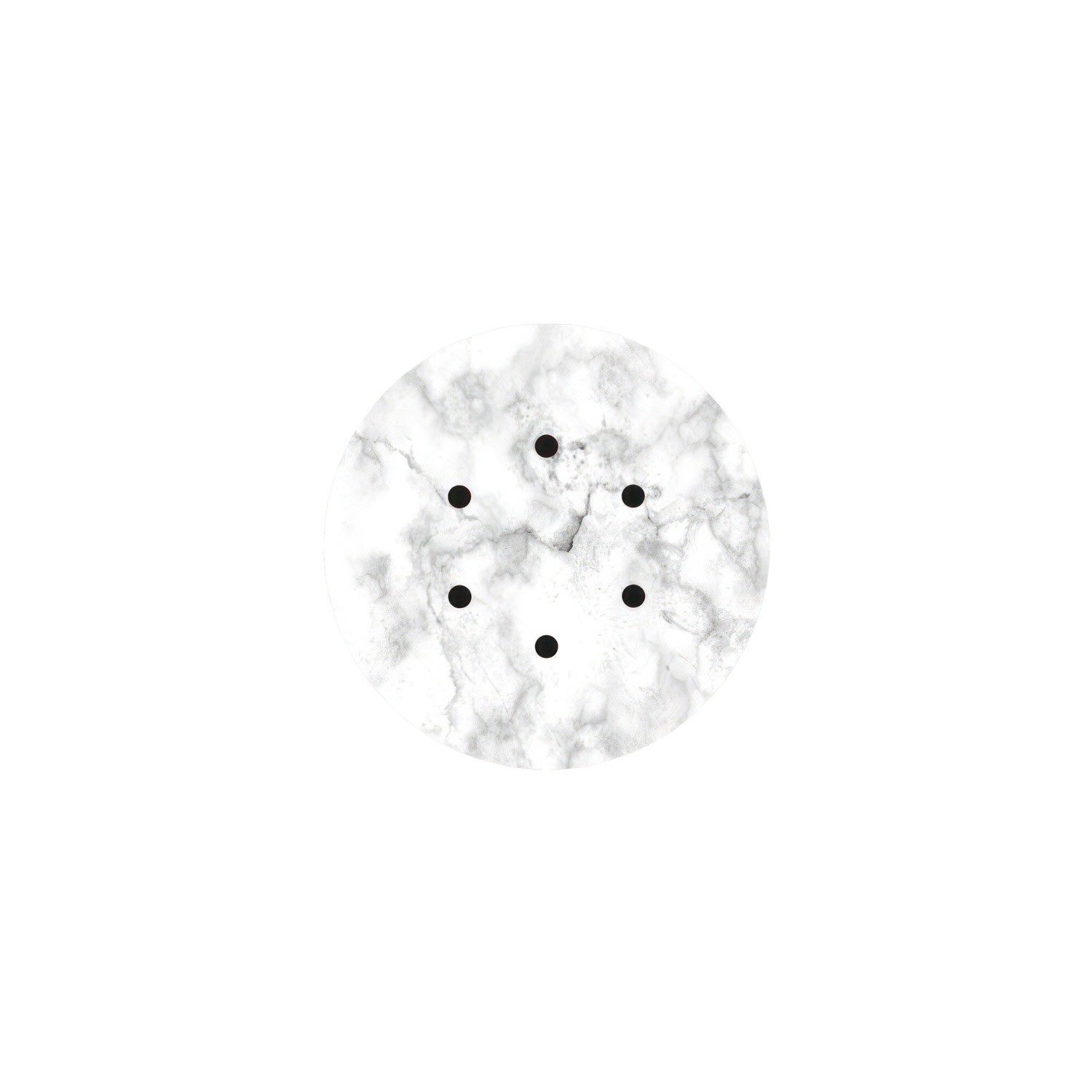 6 Holes - LARGE Round Ceiling Canopy Kit - Rose One System