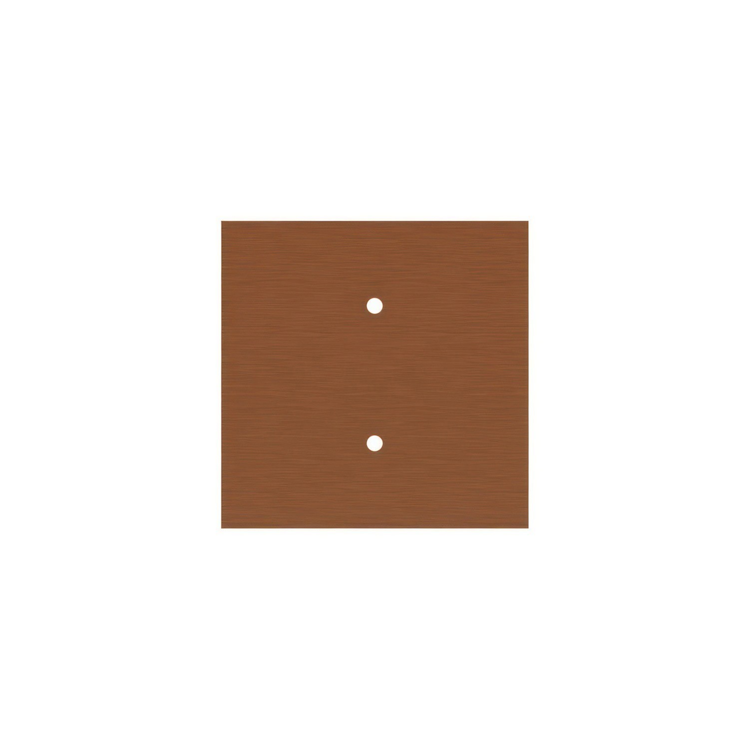 2 Holes - LARGE Square Ceiling Canopy Kit - Rose One System
