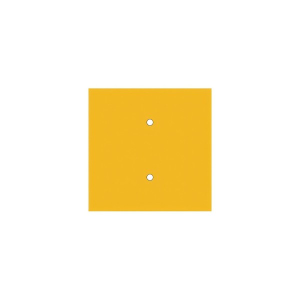 2 Holes - LARGE Square Ceiling Canopy Kit - Rose One System