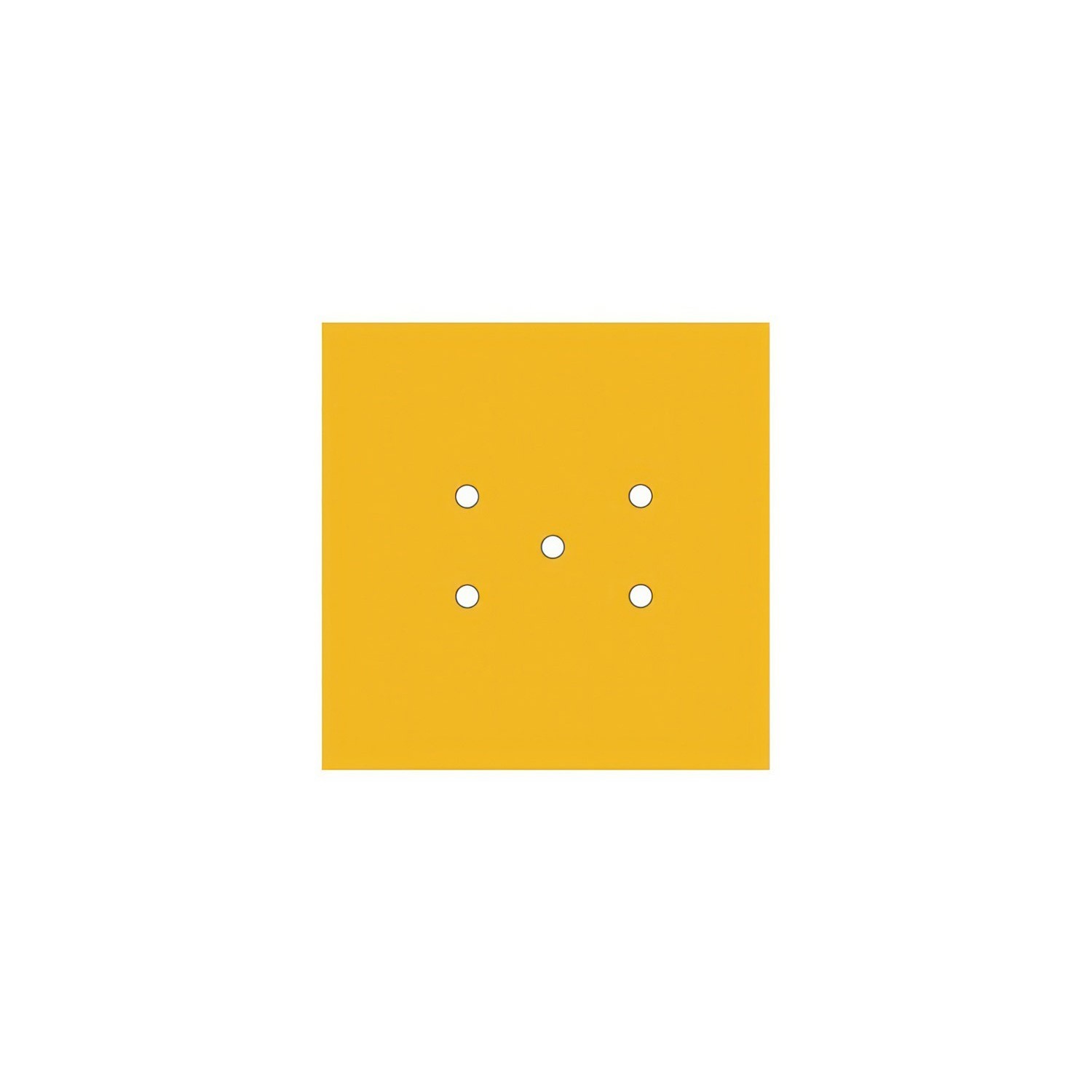 5 Holes - LARGE Square Ceiling Canopy Kit - Rose One System