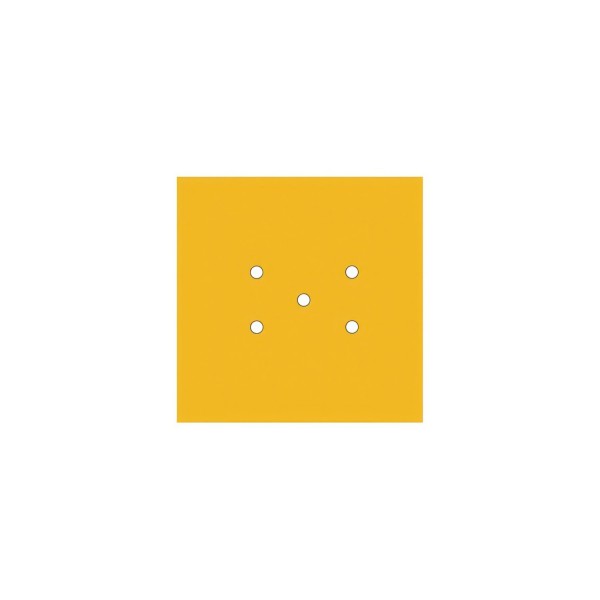 5 Holes - LARGE Square Ceiling Canopy Kit - Rose One System