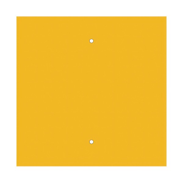 2 Holes - EXTRA LARGE Square Ceiling Canopy Kit - Rose One System