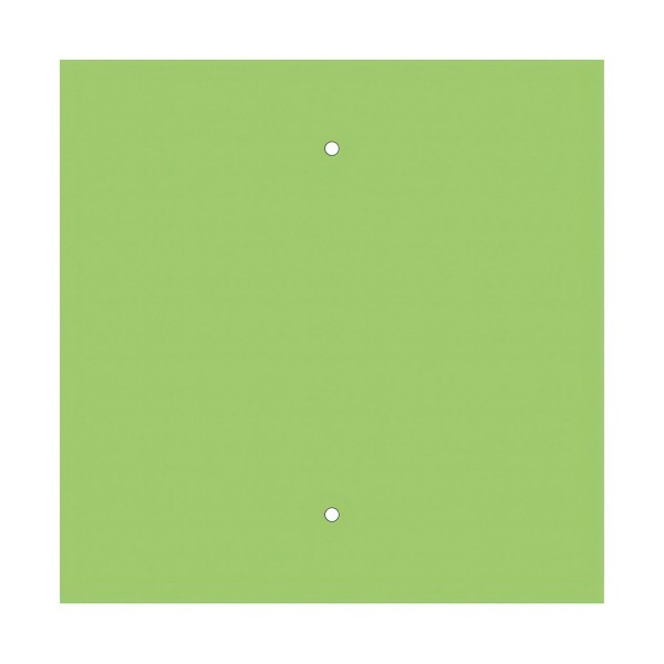 2 Holes - EXTRA LARGE Square Ceiling Canopy Kit - Rose One System