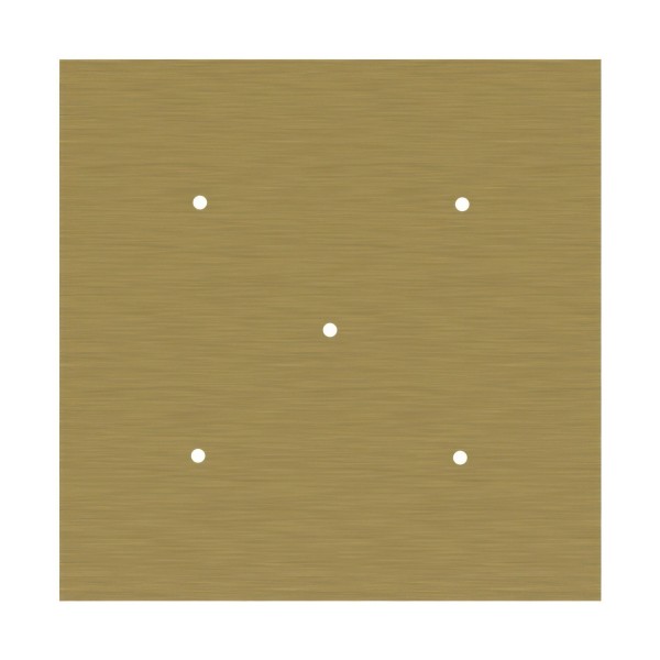 5 Holes - EXTRA LARGE Square Ceiling Canopy Kit - Rose One System