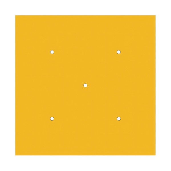 5 Holes - EXTRA LARGE Square Ceiling Canopy Kit - Rose One System
