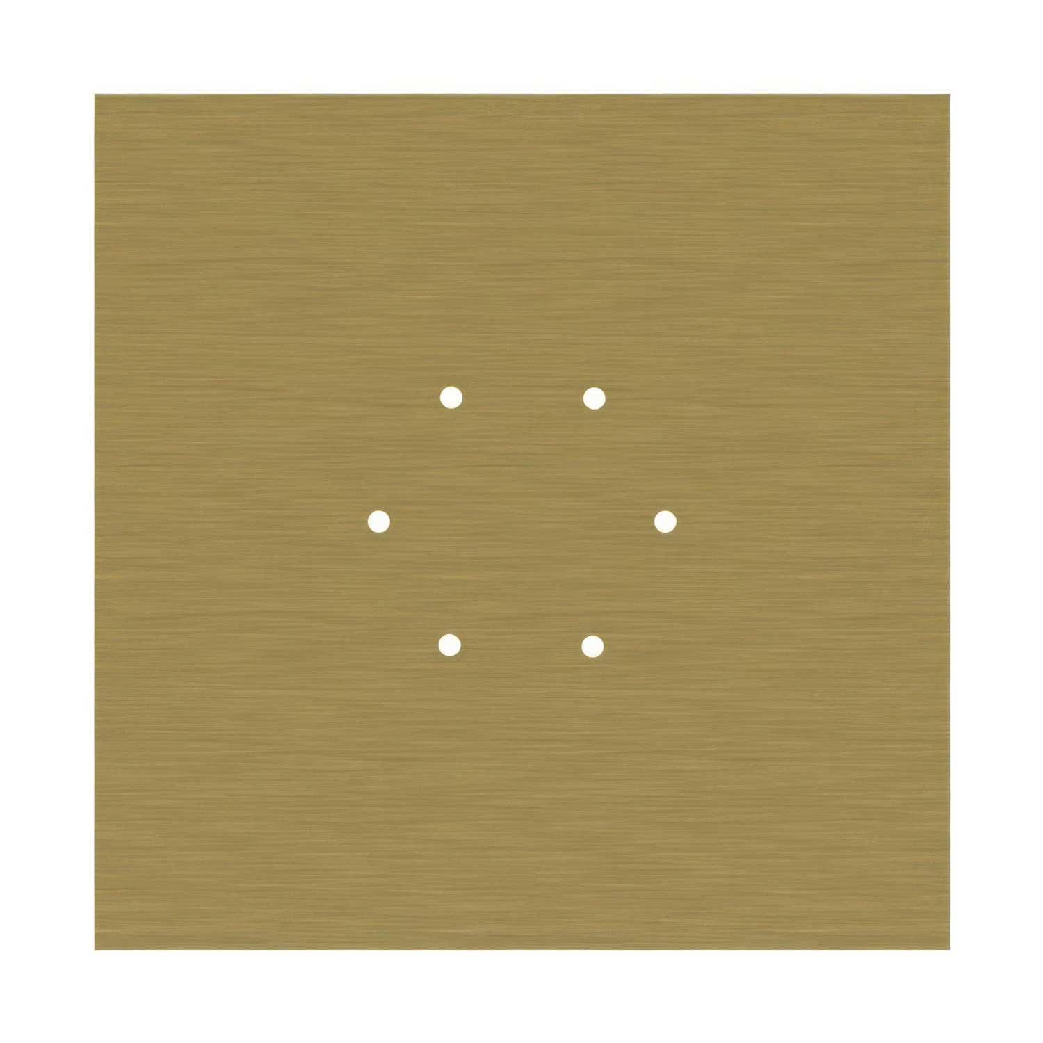 6 Holes - EXTRA LARGE Square Ceiling Canopy Kit - Rose One System