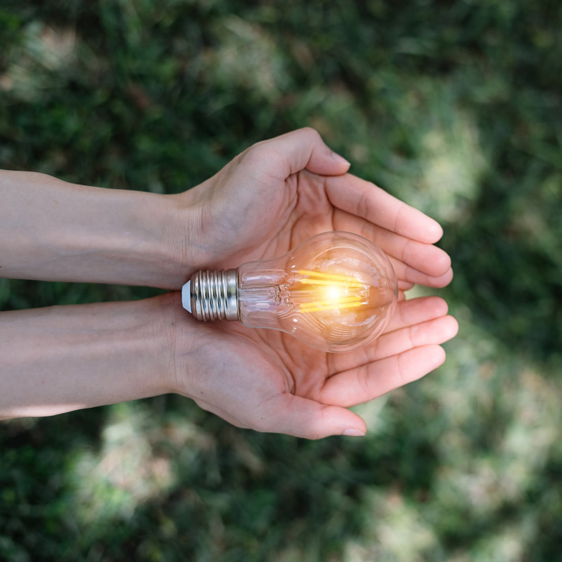 <strong>Sustainable design</strong>